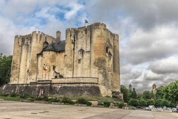 Obraz premium The town of Niort, nicknamed 