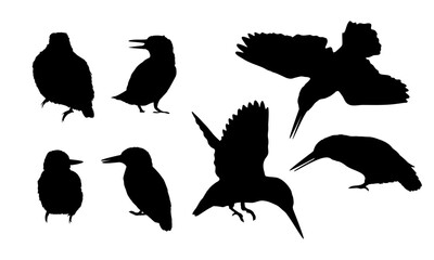 A set of silhouettes of common kingfisher Alcedo atthis birds in different poses. Kingfishers sit on a branch or the ground, fly and hunt. Wild birds of Eurasia and North America. Realistic vector