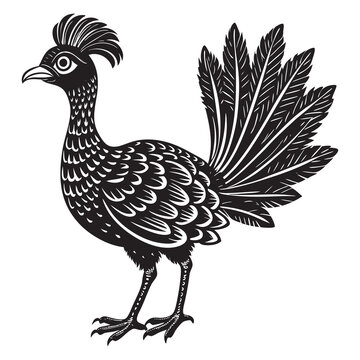 recommend clip art: Black silhouette of lyrebird on white background