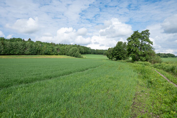 A perfect day in summertime spent exploring nature.