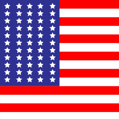 beautiful vector American flag