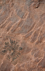 Red stone surface with pattern