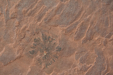 Red stone surface with pattern