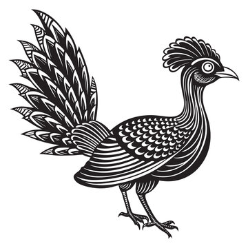 recommend clip art: vector illustration of lyrebird isolated on white background