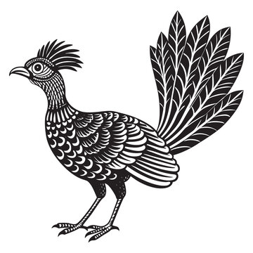 recommend clip art: lyrebird flat style isolated on white background