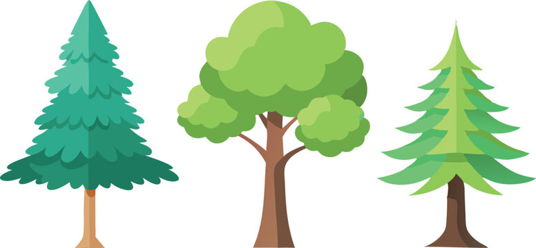 Three trees are shown in a row, with the middle tree being the tallest