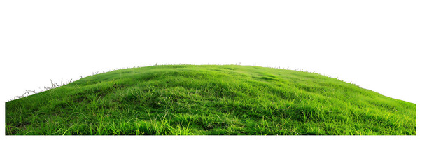 Green Grass Field Isolated on White Background
