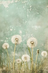 wild flowers meadow with dandelions