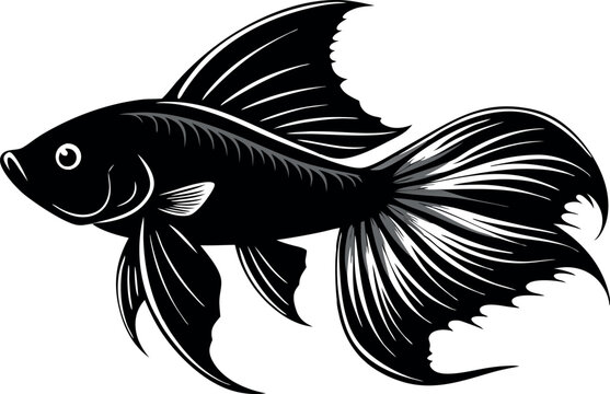 recommend clip art: A black fish with a long tail and a pointed head