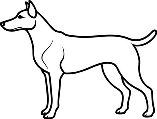 Fototapeta premium A dog is standing in front of a white background