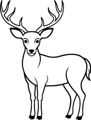 Fototapeta premium A deer with antlers stands in front of a white background