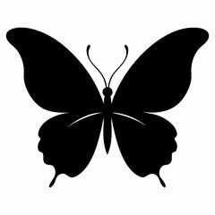 butterfly vector illustration, butterfly isolated on white, butterfly silhouette, butterfly vector art