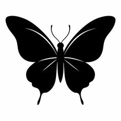 butterfly vector illustration, butterfly isolated on white, butterfly silhouette, butterfly vector art