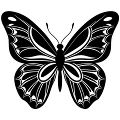 butterfly vector illustration, butterfly isolated on white, butterfly silhouette, butterfly vector art