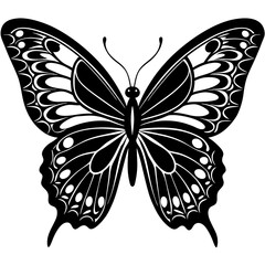 butterfly vector illustration, butterfly isolated on white, butterfly silhouette, butterfly vector art
