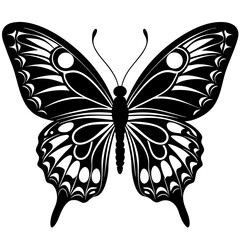 butterfly vector illustration, butterfly isolated on white, butterfly silhouette, butterfly vector art