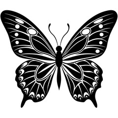 butterfly vector illustration, butterfly isolated on white, butterfly silhouette, butterfly vector art