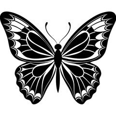 butterfly vector illustration, butterfly isolated on white, butterfly silhouette, butterfly vector art