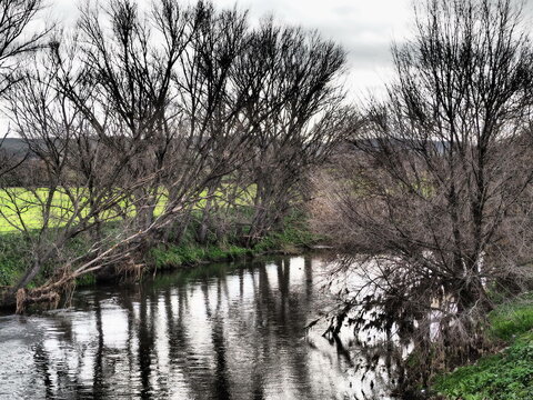 Jarama River in Madrid on a foggy day
