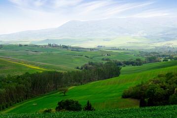Tuscany, Italy-April 22, 2024: Vibrant Green Hills of Tuscany, Italy