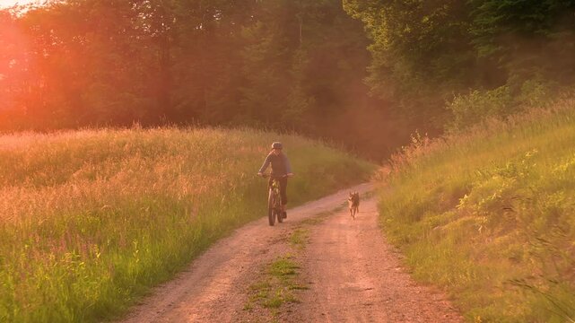 AERIAL, PORTRAIT: Happy lady and her dog on a sunset gravel riding adventure through picturesque countryside. She enjoys riding her bike and sharing outdoor summer adventures with her loyal friend.