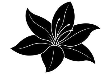 Lily vector illustration, Lily isolated on white, Lily silhouette, Lily vector art