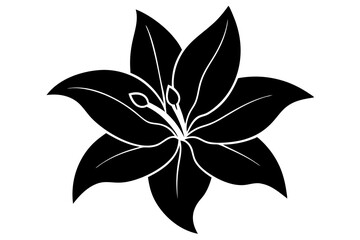 Lily vector illustration, Lily isolated on white, Lily silhouette, Lily vector art