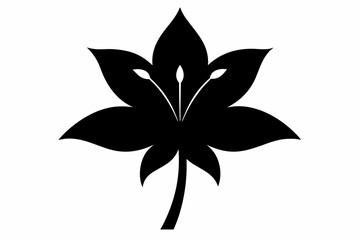 Lily vector illustration, Lily isolated on white, Lily silhouette, Lily vector art