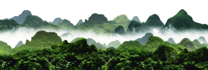 Green lush Amazon tropical rainforest jungle with towering hills landscape with misty mountains at dawn cut out, isolated, transparent background - PNG.
