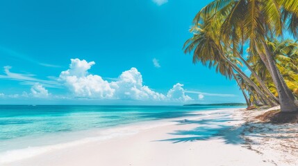 Tropical Beach Scene With Palm Trees and White Sand