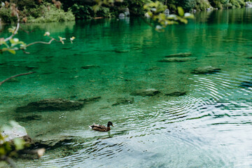 Lake with mountains in the background in the Bavarian foothills of the Alps