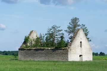 Altes Steinhaus mit eingestürztem Dach aus dem Bäume wachsen