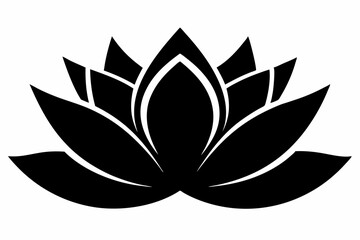 lotus vector illustration, lotus isolated on white, lotus silhouette, lotus vector art