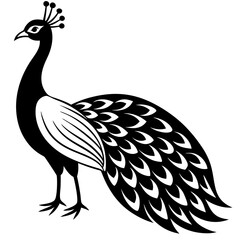 Peacock vector illustration, peacock isolated on white, peacock silhouette, peacock vector art