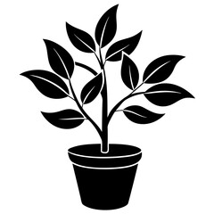 Plant vector illustration, plant in a pot isolated on white, plant silhouette, plant in a pot vector art