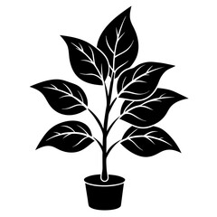 Plant vector illustration, plant in a pot isolated on white, plant silhouette, plant in a pot vector art