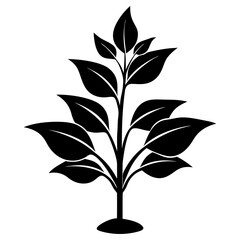 Plant vector illustration, plant in a pot isolated on white, plant silhouette, plant in a pot vector art