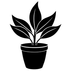 Plant vector illustration, plant in a pot isolated on white, plant silhouette, plant in a pot vector art