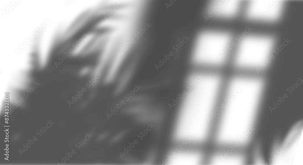 Poster Realistic shadow overlay of palm tree branch. Transparent overlay shadow effect from tropical palm leaves. Realistic soft light effect of shadows and natural light on transparent background