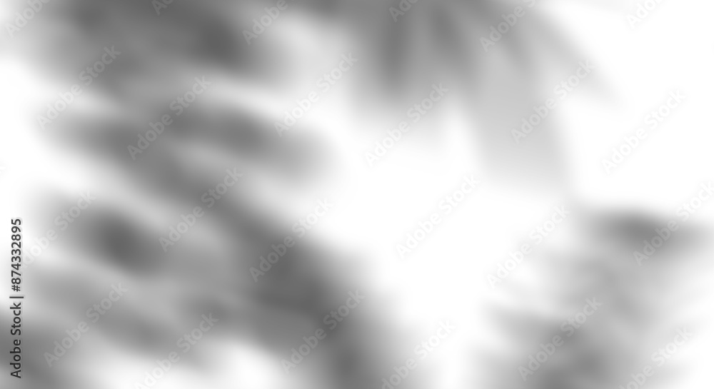 Poster realistic transparent shadow from a leaf of a palm tree on the transparent background. tropical leav