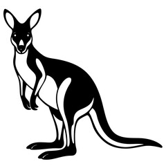 kangaroo white background 