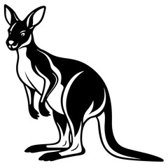 kangaroo white background 