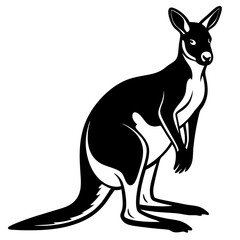 kangaroo white background 