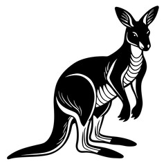 kangaroo white background 