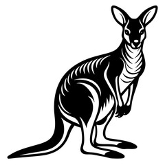 kangaroo white background 