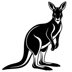 kangaroo white background 