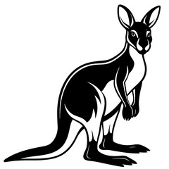 kangaroo white background 