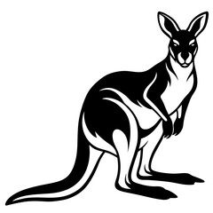 kangaroo white background 