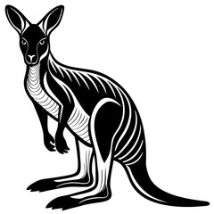 kangaroo white background 