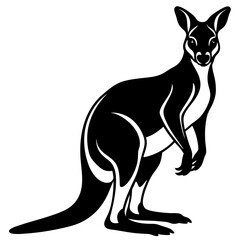 kangaroo white background 